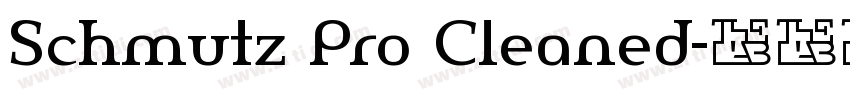 Schmutz Pro Cleaned字体转换